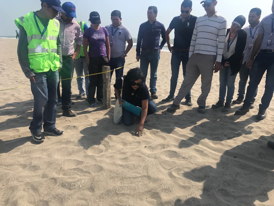 Primer muestreo nacional de Macroplásticos en playas de Ecuador continental e insular