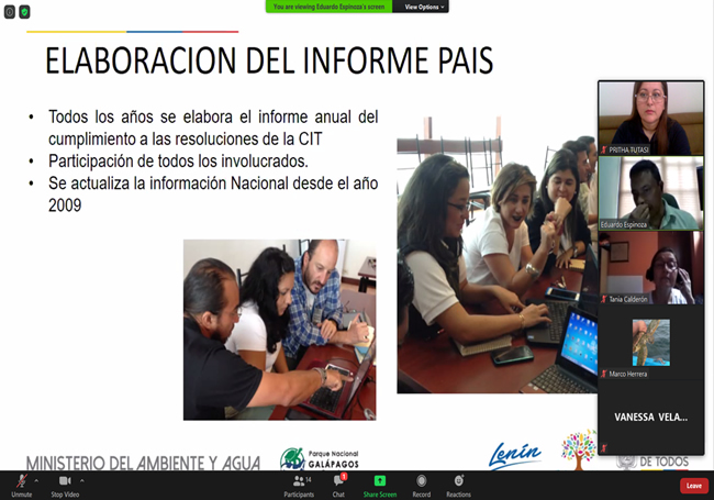 Funcionaria del Inocar participó en la elaboración del informe anual para la protección y conservación de las tortugas marinas